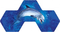 8. Aqua (edycja polska)